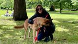 Wie jeden Tag geht Yasmin, 45, mit ihrem Hund Elvis im Hyde Park spazieren. Bei der Wahl hat die Künstlerin ihr Kreuzchen bei den Liberal Democrats gemacht.  "Ich finde, es ist ein gutes Ergebnis. Ich habe Labour nicht gewählt, weil ich die letzte Regierung nicht mochte. Aber ich denke, Starmer ist ganz in Ordnung. Er hat einen seriösen Wahlkampf geführt und ist bei vielen Themen eher Mitte als links. Ich habe Hoffnung, dass sich die Dinge mit ihm ändern werden. Dass er die Wirtschaft wieder auf Kurs bringt, den NHS repariert, die Beziehungen zu Europa stärkt. Es wird Zeit brauchen, klar. Aber das Gute ist, dass die Messlatte nach 14 Jahren Tories so niedrig liegt."