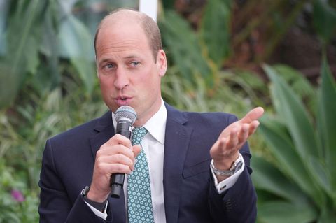 Prinz William