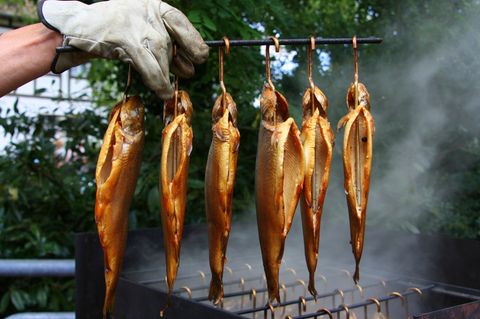 Fisch räuchern: Fertig geräucherte Fische hängen an einem Haken