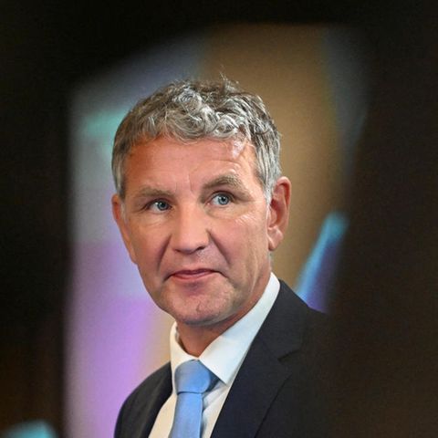 Der Thüringer AfD-Vorsitzende Björn Höcke Ende Juni auf dem Bundesparteitag der AfD in Essen