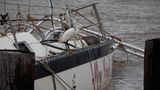 Als Ruheplatz für einen Seidenreiher reicht es noch: Dieses Segelboot in Matagorda hat der Sturmgewalt auch nicht standgehalten und ist gesunken. Nach Angaben des Tierschutzzentrums Houston SPCA fielen auch Hunderte Vögel dem Sturm von Opfer. Sie seien während des Hurrikans aus ihren Nestern gefallen und ertrunken, hieß es