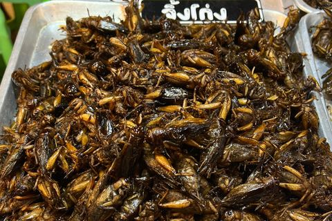 Insekten zum Essen werden auf einem Markt angeboten