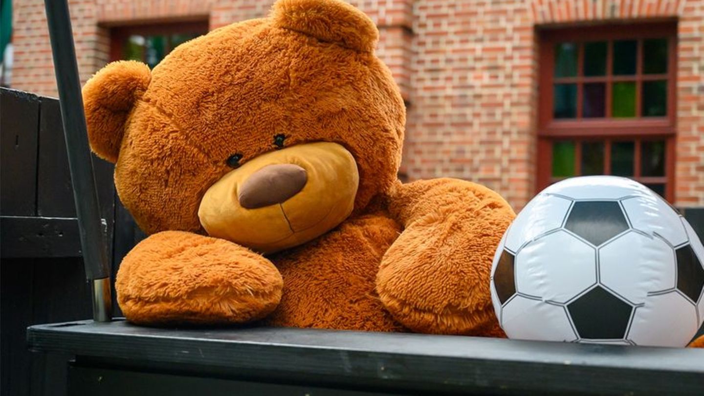 Kuscheltier: Tim Mälzer sucht seinen Teddybären
