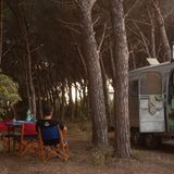 Der Vater genießt eine Pause unter Kiefern