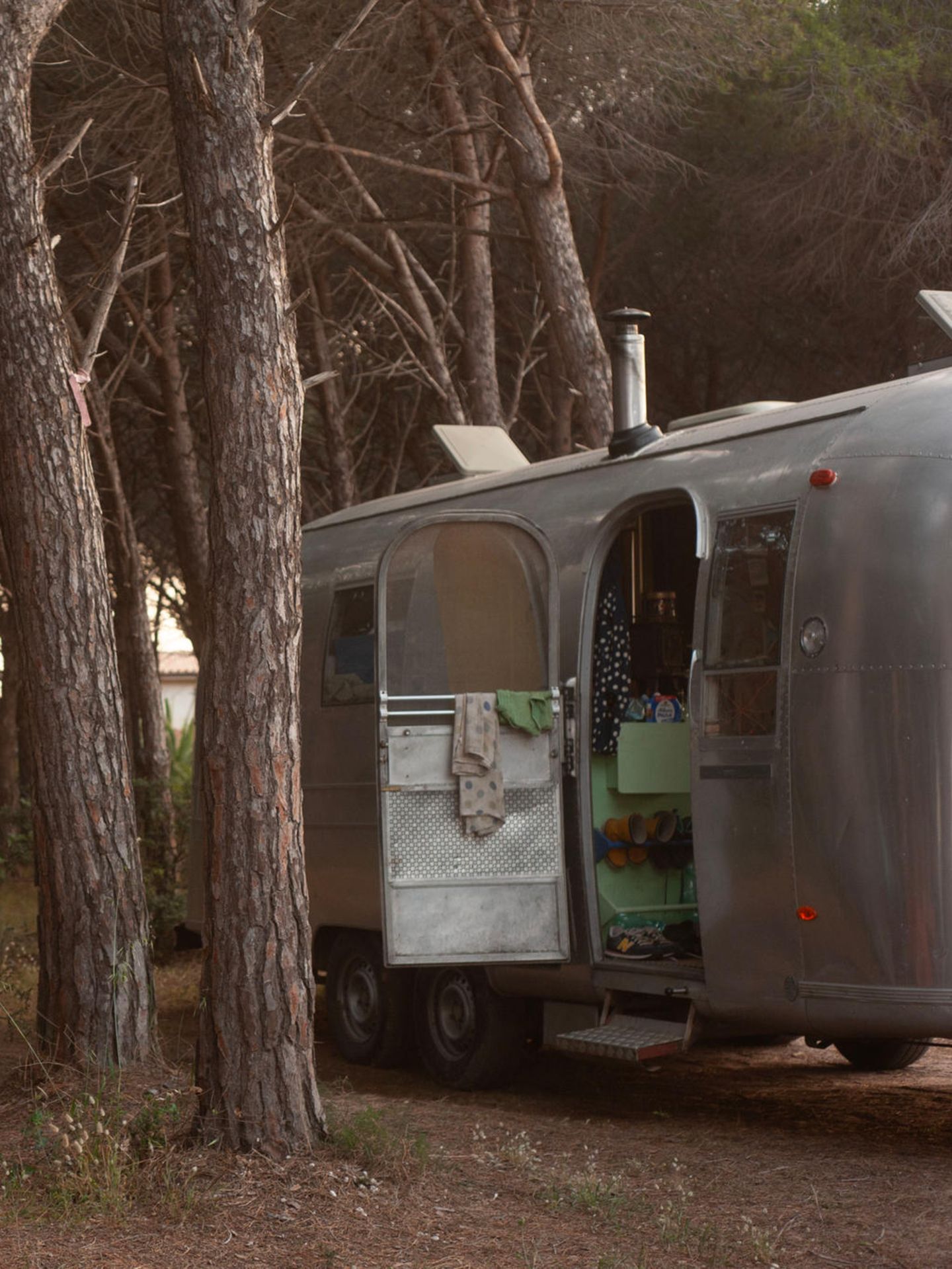 Der Vater genießt eine Pause unter Kiefern