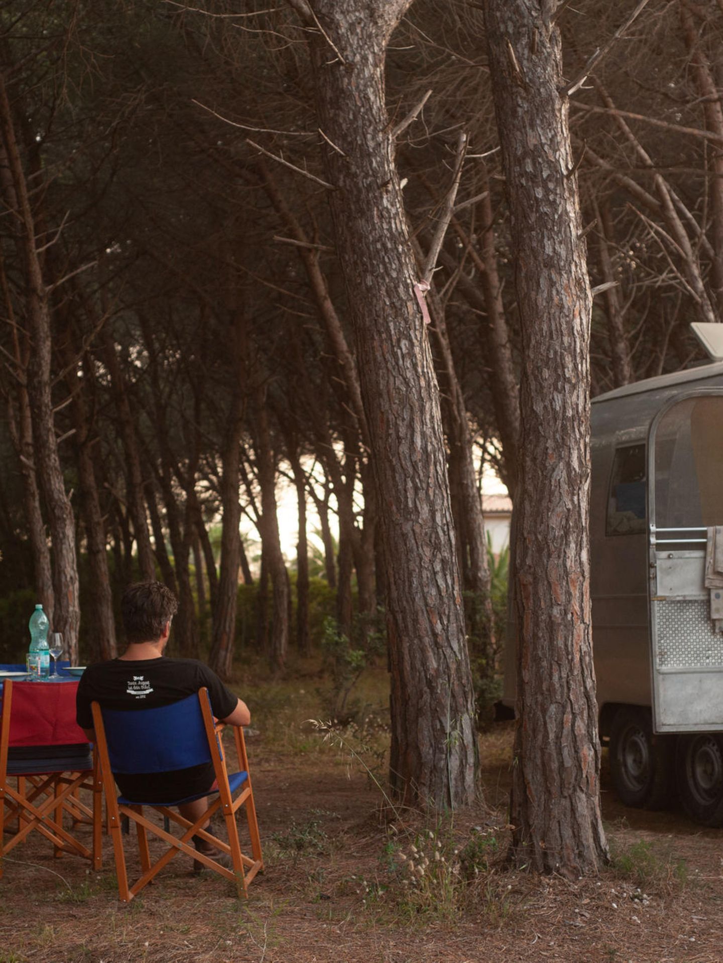 Der Vater genießt eine Pause unter Kiefern