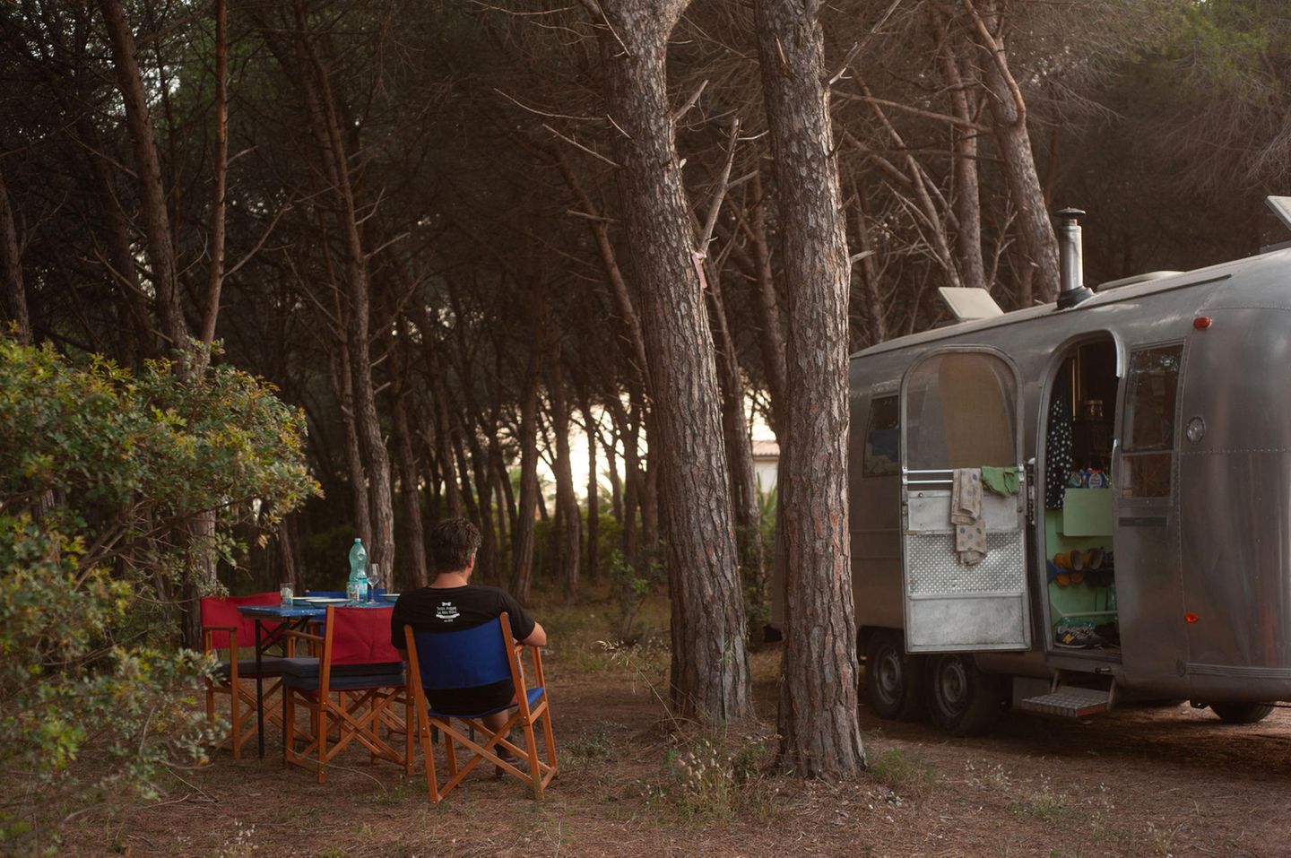 Der Vater genießt eine Pause unter Kiefern