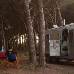 Der Vater genießt eine Pause unter Kiefern