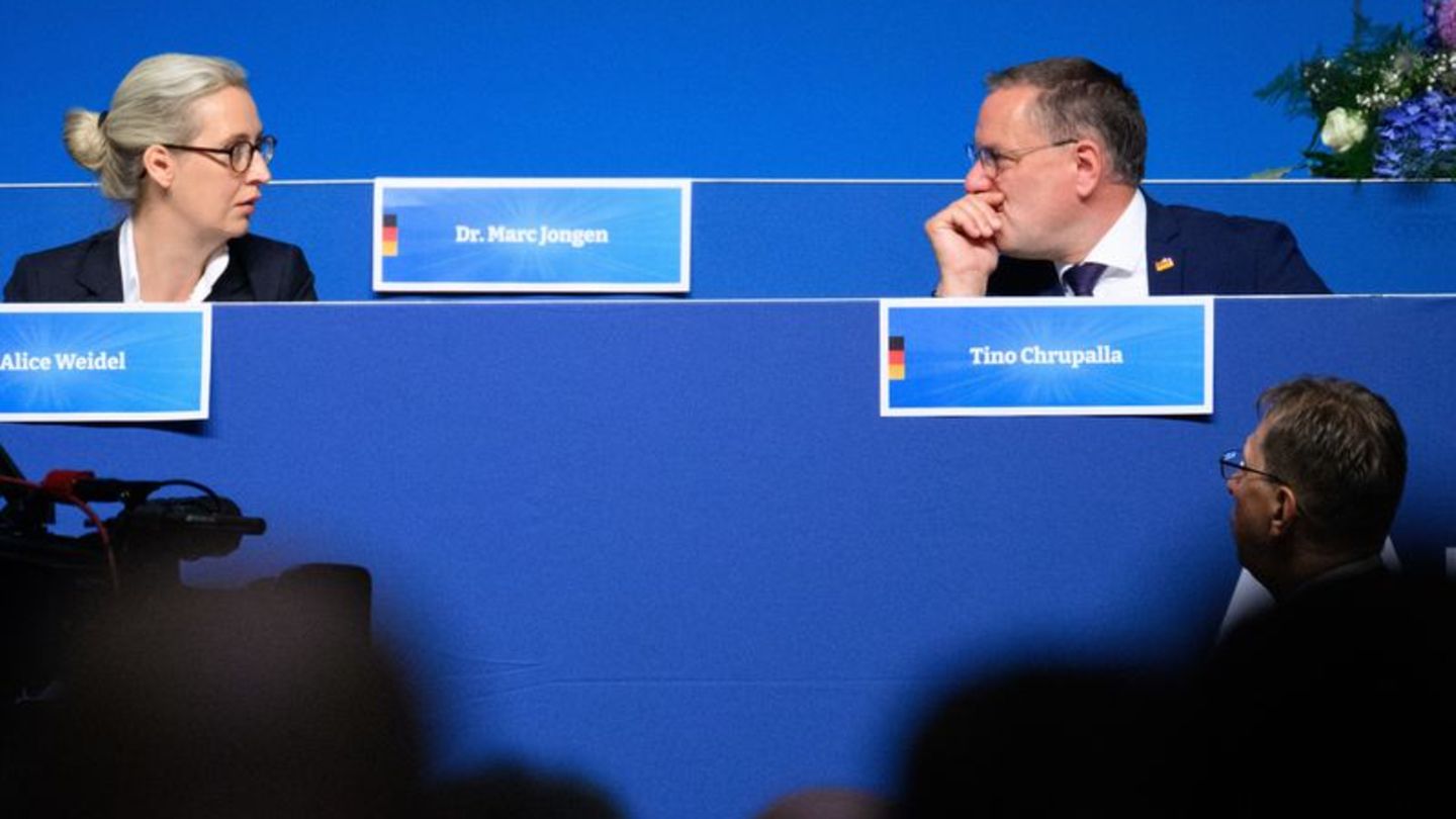 European policy: AfD finds partner for right-wing faction in EU Parliament