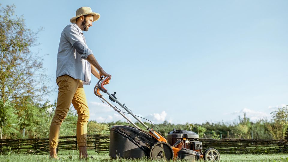 Rasenmähen bei Sommerhitze Tipps für einen grünen Rasen STERN.de