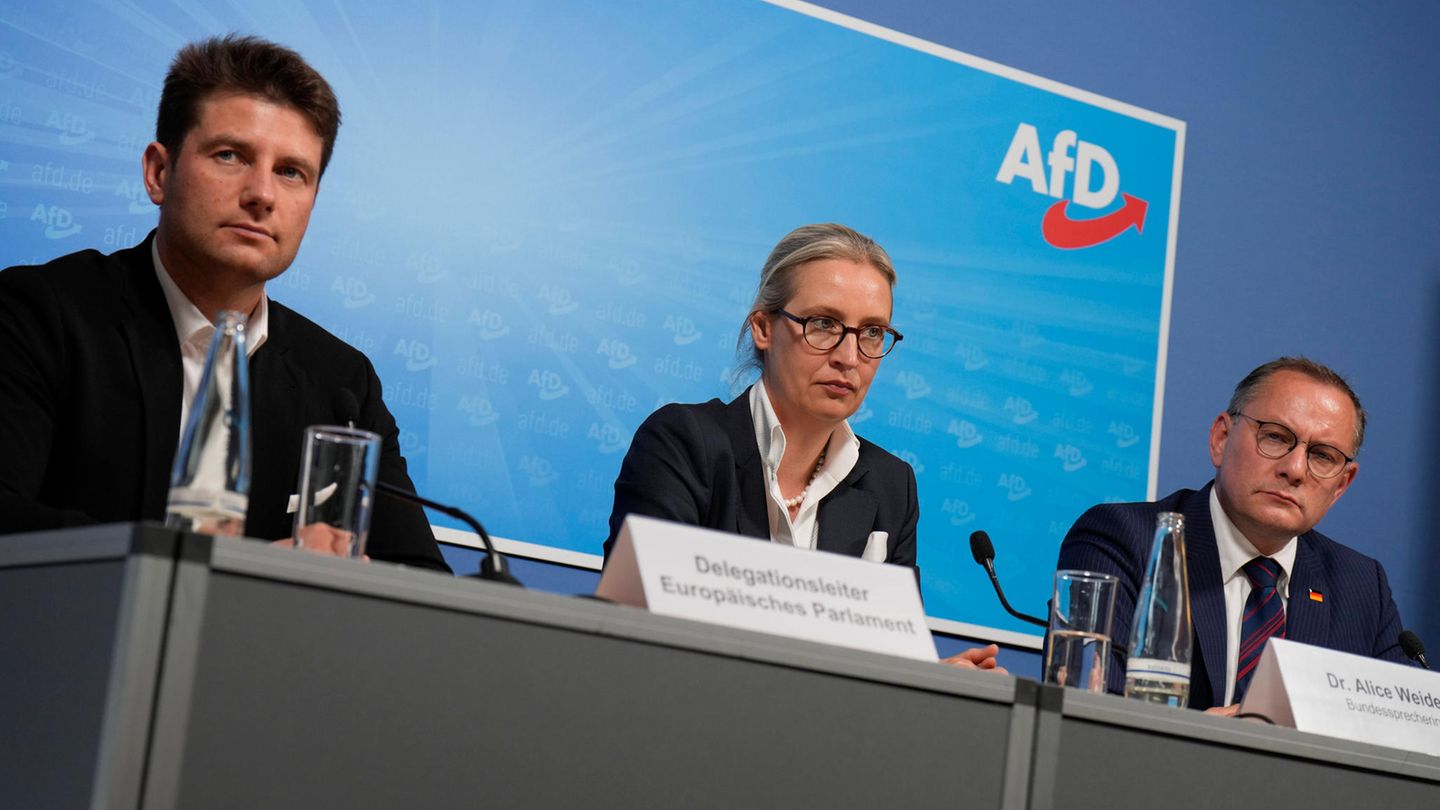 AfD establishes EU parliamentary group with right-wing extremists and Russia supporters