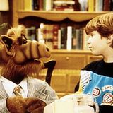 Brian verkörperte in der Show so etwas wie das kindliche gute Gewissen: Er brachte seinen frechen Kumpel immer wieder dazu, das Richtige zu tun - etwa nicht die Familienkatze "Lucky" zu frühstücken. Es sei ihm sehr leicht gefallen, mit der Alf-Puppe vor der Kamera zu spielen, hatte Gregory erst 2022 in einem Interview auf Youtube erzählt. Nach "Alf"...