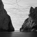 Ornithographie # 278, Tachymarptis melba, Alpensegler im Vogelschwarm, Medas Inseln, Katalonien, 2023