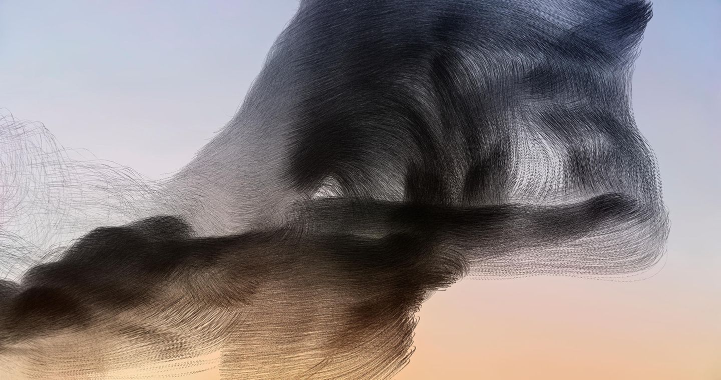 Ornithographie 172# Sturnus vulgaris , Gemeiner Star Vogelschwarm, Emporda, Katalonien , 2019