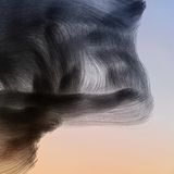 Ornithographie 172# Sturnus vulgaris , Gemeiner Star Vogelschwarm, Emporda, Katalonien , 2019