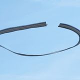 264, Circus pygargus Vogelschwarm, Wiesenweihe, Montgai d'Urgell, Katalonien, 2023