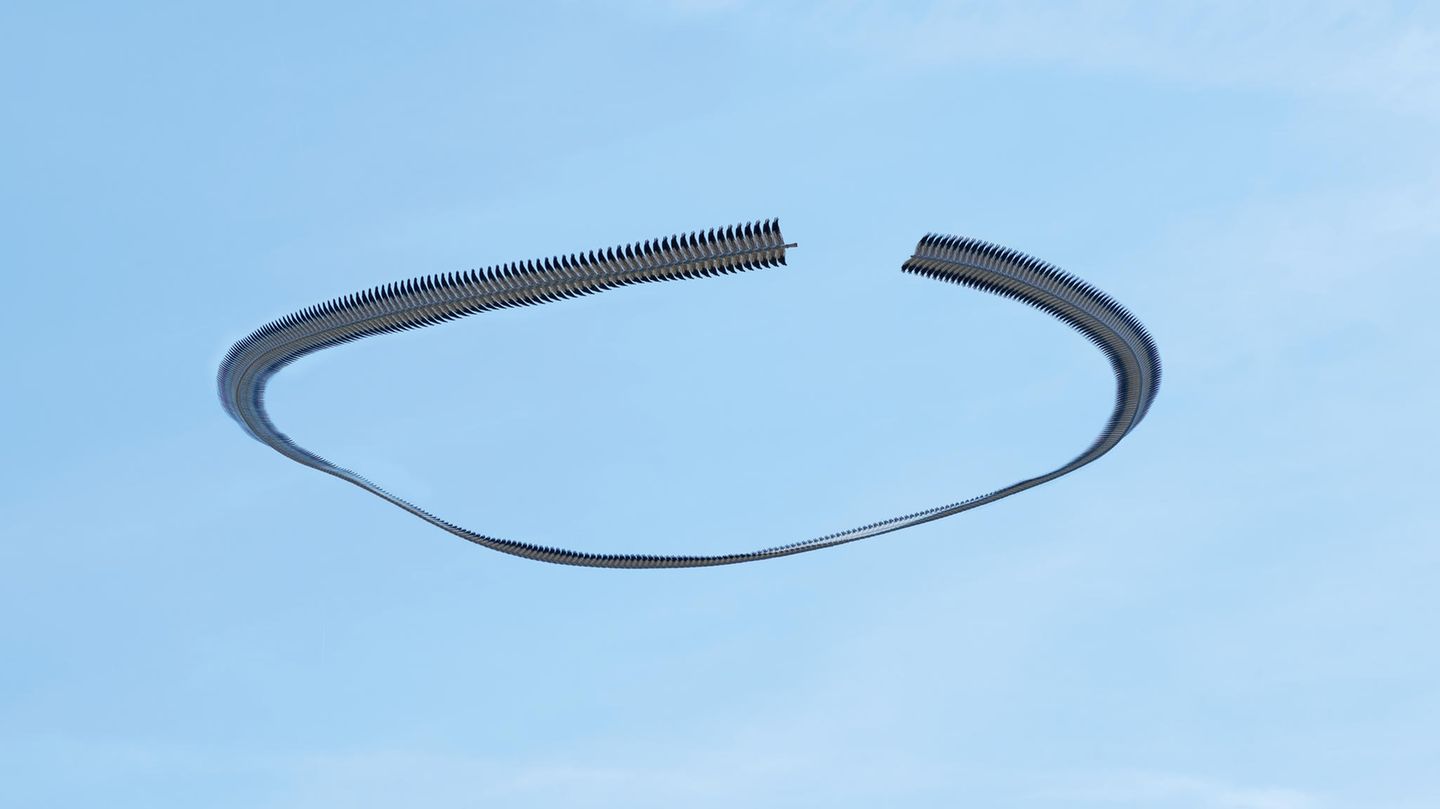 264, Circus pygargus Vogelschwarm, Wiesenweihe, Montgai d'Urgell, Katalonien, 2023