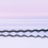 Ornithographie #249, Haematopus ostralegus, Austernfischer Vogelschwarm, North Uist, Schottland, 2022