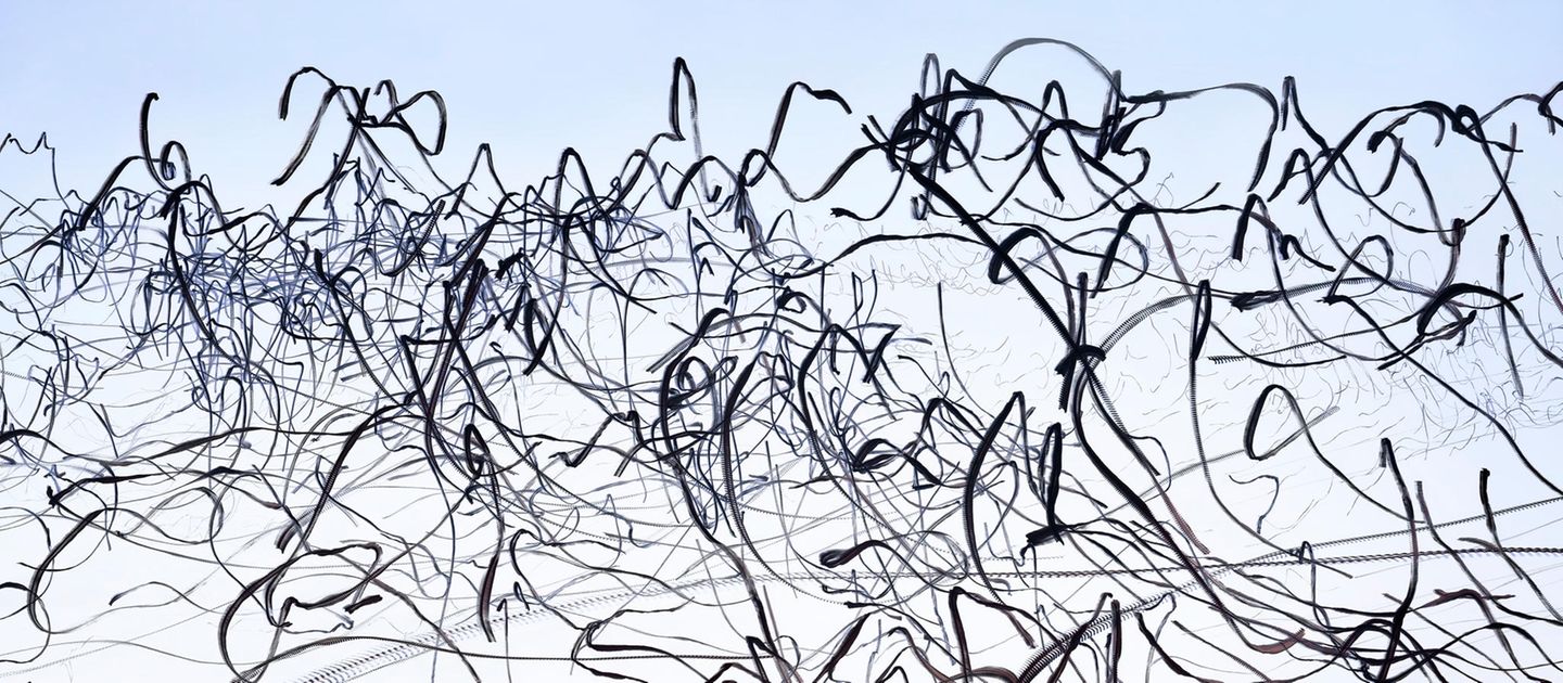 Ornithographie 112# Milvus migrans , Schwarzmilan Vogelschwarm, Tarifa, Spanien, 2017