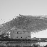 Ornithografie # 278, Tachymarptis melba, Alpensegler im Vogelschwarm, Medas Inseln, Katalonien, 2023