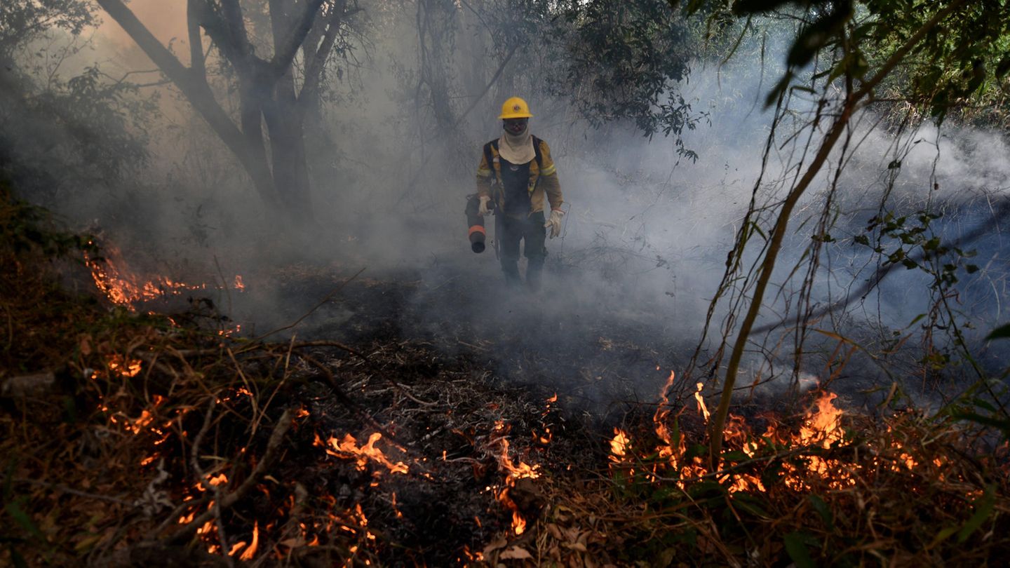 Ein Feuerwehrmann stakst durch das rauchende Unterholz mitten im Pantanal