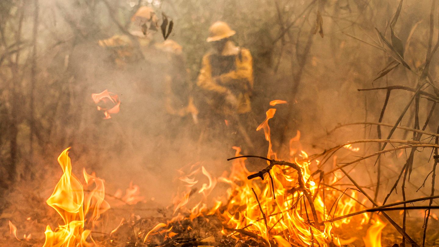 Notstand im Pantanal: Wenn das größte Feuchtgebiet der Erde in Flammen aufgeht