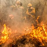Bis zum 18. Juni zählte Brasiliens Nationales Institut für Raumfahrtforschung (INPE) mehr als 1400 Feuer im Pantanal