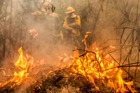Bis zum 18. Juni zählte Brasiliens Nationales Institut für Raumfahrtforschung (INPE) mehr als 1400 Feuer im Pantanal