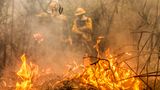 Bis zum 18. Juni zählte Brasiliens Nationales Institut für Raumfahrtforschung (INPE) mehr als 1400 Feuer im Pantanal
