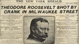 Zeitungsausriss des "New York Herald" von der Nachricht über den Anschlag auf Roosevelt