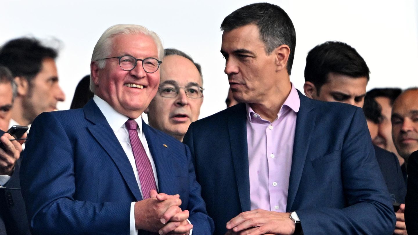 Frank-Walter Steinmeier Pedro Sanchez
