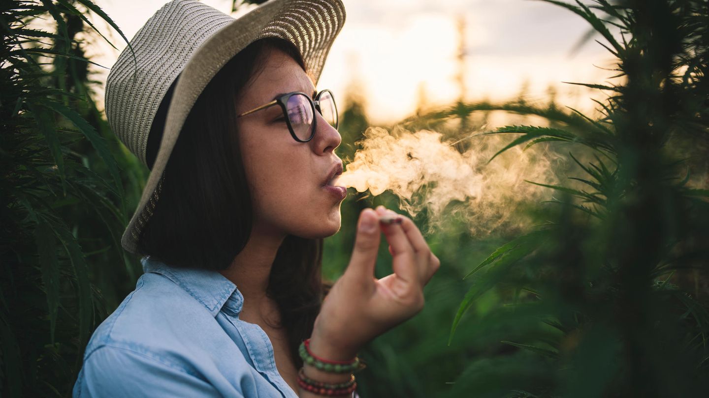 After cannabis consumption: ADAC advises not to drive for 24 hours