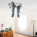 Kostet 35 Euro und mehr: Privathaftpflicht ist ein Muss!  Kostet wenig, rettet im Ernstfall jedoch die eigene Existenz: die Privathaftpflicht. Wie der sperrige Name andeutet, ist gesetzlich jeder in der Pflicht, für die von ihm angerichteten Schäden bei anderen zu haften. Bei einer zerbrochenen Vase oder einer kaputten Fensterscheibe ist der finanzielle Schaden überschaubar, doch sobald Personenschaden hinzukommt, können die Haftungsforderungen schnell in die Hunderttausende oder gar Millionen gehen. Ohne Versicherung kann das in der privaten Insolvenz münden.   Die private Haftpflicht ist daher eine Versicherung gegen existenzbedrohende Risiken. Kinder sind in der Privathaftpflicht der Eltern mitversichert. Solange das volljährige Kind bei den Eltern wohnt und sich noch in der ersten Ausbildung befindet, gilt dieser Familientarif in der Regel weiter. Wer jedoch allein oder in einer WG wohnt, sollte sich selbst versichern. Im hart umkämpften Wohnungsmarkt verlangen Vermieter zur eigenen Absicherung häufig einen Nachweis über eine Privathaftpflicht. Wer nicht versichert ist, läuft Gefahr, von vornherein als Bewerber assortiert zu werden. Die Höhe des Versicherungsbeitrages orientiert sich am Umfang und der Höhe der Versicherung. Gute Versicherungen beginnen ab 35 Euro monatlich. Rabatt gibt es für jährlich anstatt monatlicher Zahlungen.  