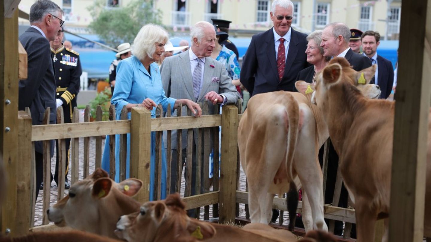 König Charles und Königin Camilla: Tierische Überraschung für den König