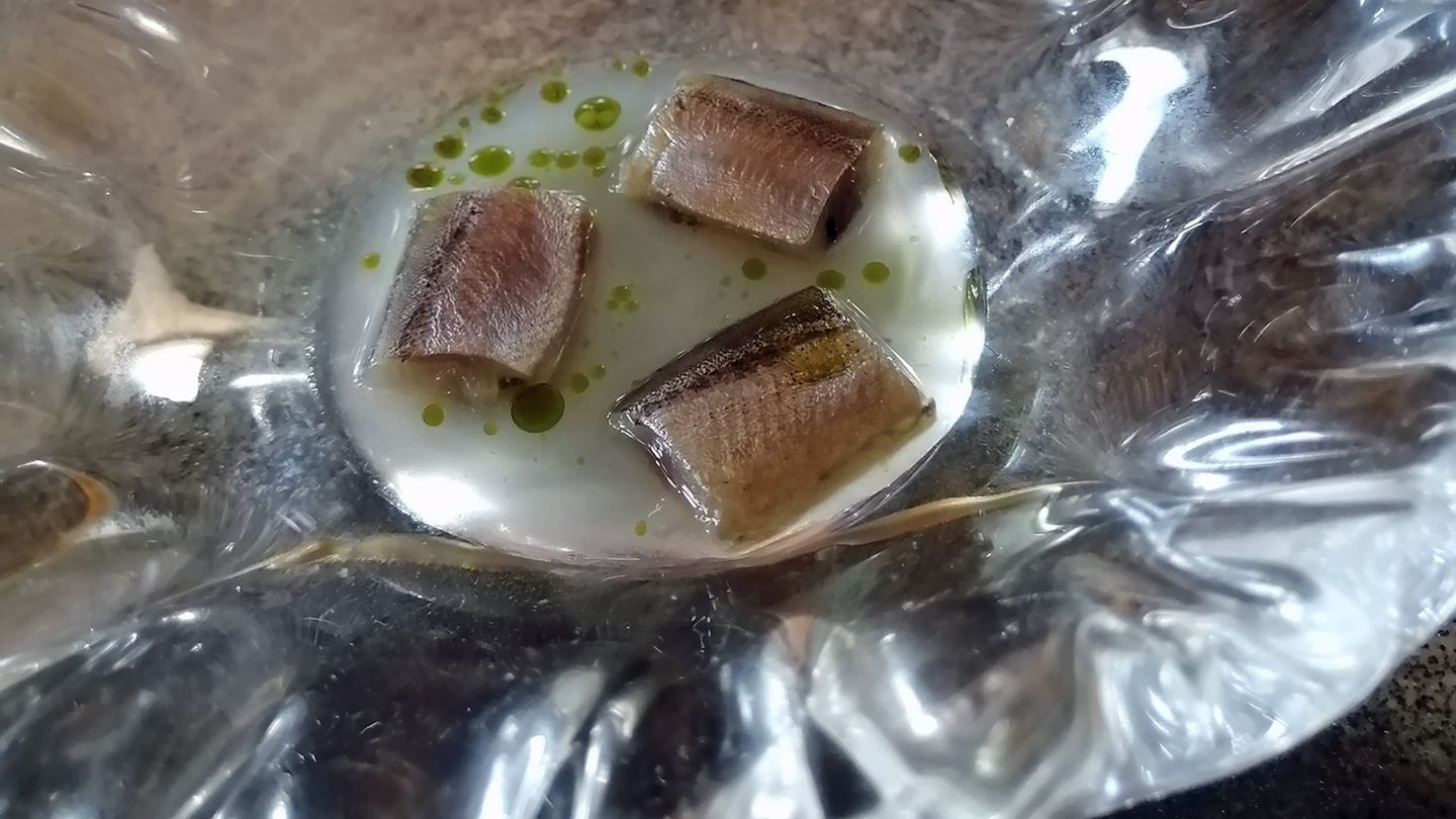 In einer Glasschale werden drei Stücke vom Kapelan serviert, ein Fisch aus der Familie der Stinte, fermentiert im Fruchtsaft der Stachelbeere.