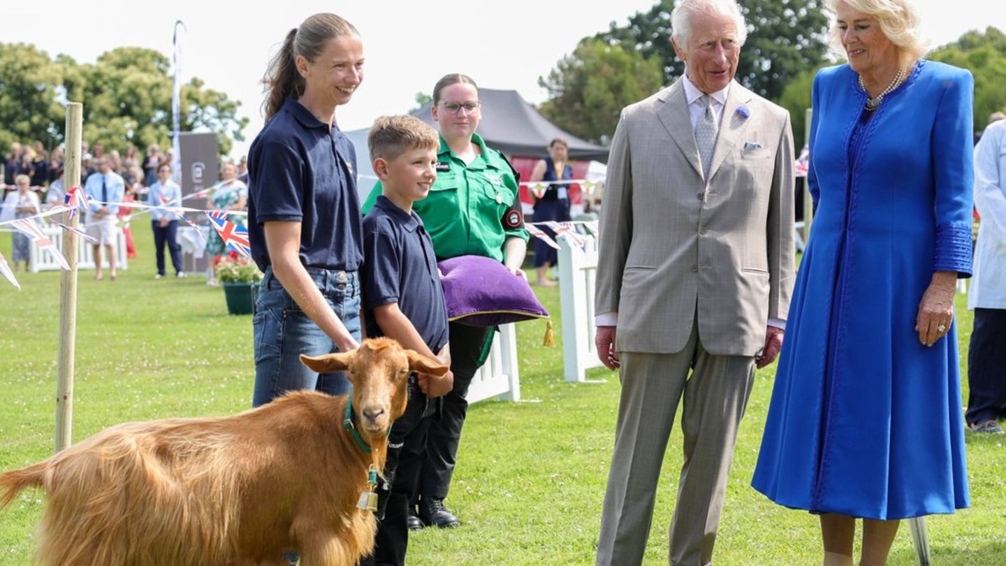 Guernsey: König Charles III. verleiht königlichen Titel an Ziegen