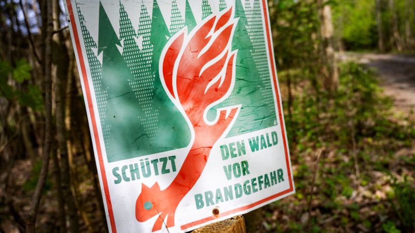 Brandgefahr: 224 Waldbrände in Niedersachsen im vergangenen Jahr