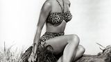 Provokant: In den 40ern und 50ern inszenierten sich berühmte Frauen wie Bettie Page, Ava Gardner und Cyd Charisse (Foto) als sexy Pin-up-Stars. Häufig trugen sie Kleider mit Leo-Print. Christian Dior sagte damals: "Um das Muster zu tragen, bedarf es einer besonderen Art von Weiblichkeit, und zwar einer mondänen. Wer glatt und süß ist, sollte es nicht tragen." 
