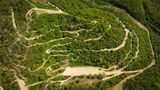 Sportart: Mountainbike