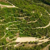 Sportart: Mountainbike