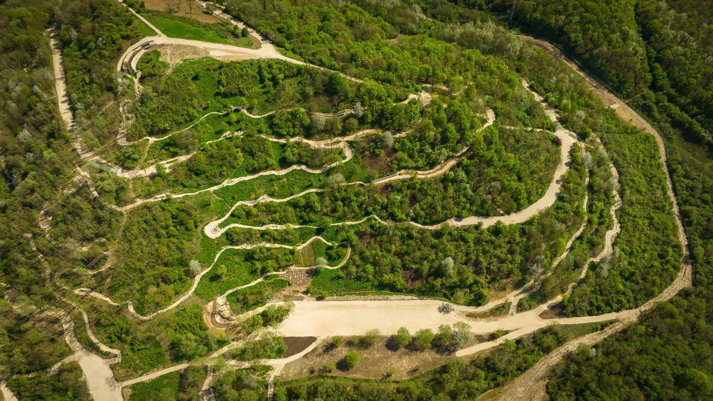 Sportart: Mountainbike