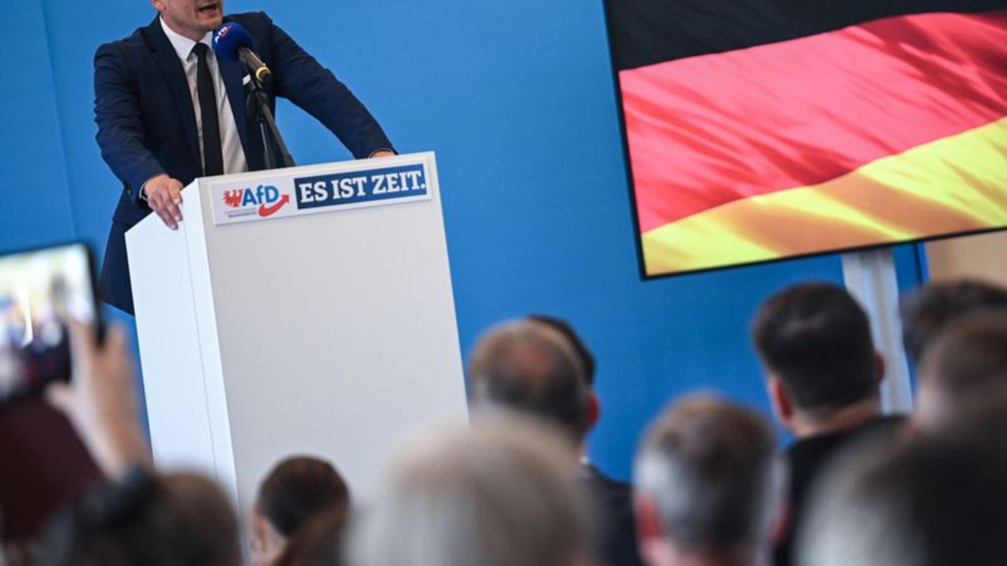 Landtagswahlkampf: Brandenburger AfD will mit der Wahl die 