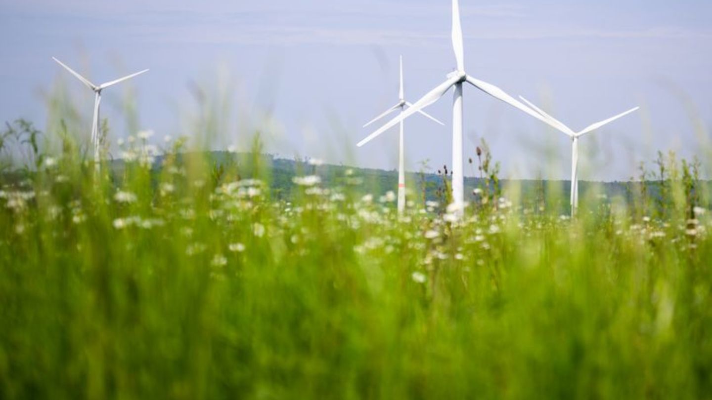 Erneuerbare Energien: Zeitung: Windenergieausbau stockt im ersten Halbjahr