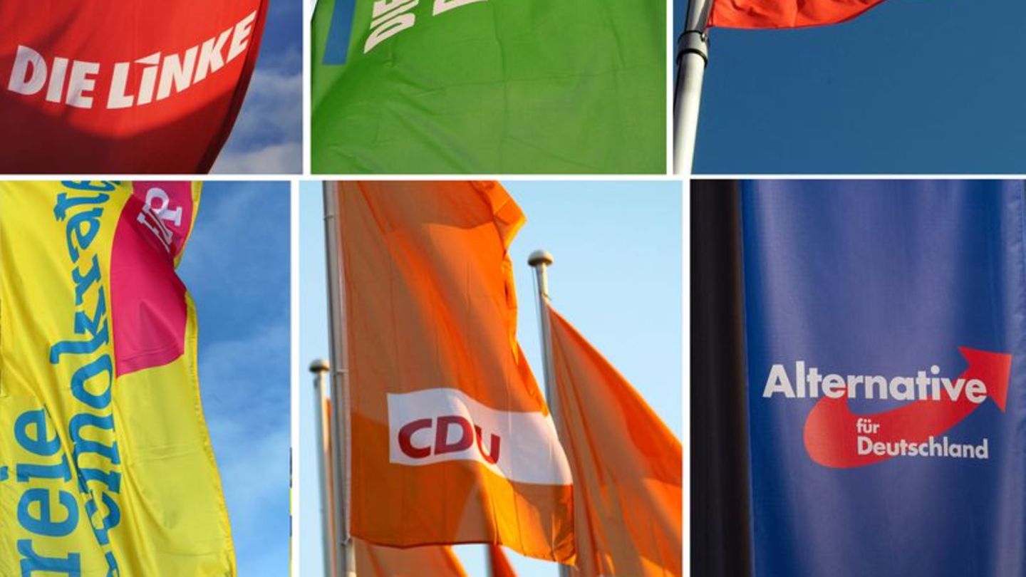 Berliner Parteien: Deutlicher Mitgliederzuwachs bei Grünen, Linke und AfD