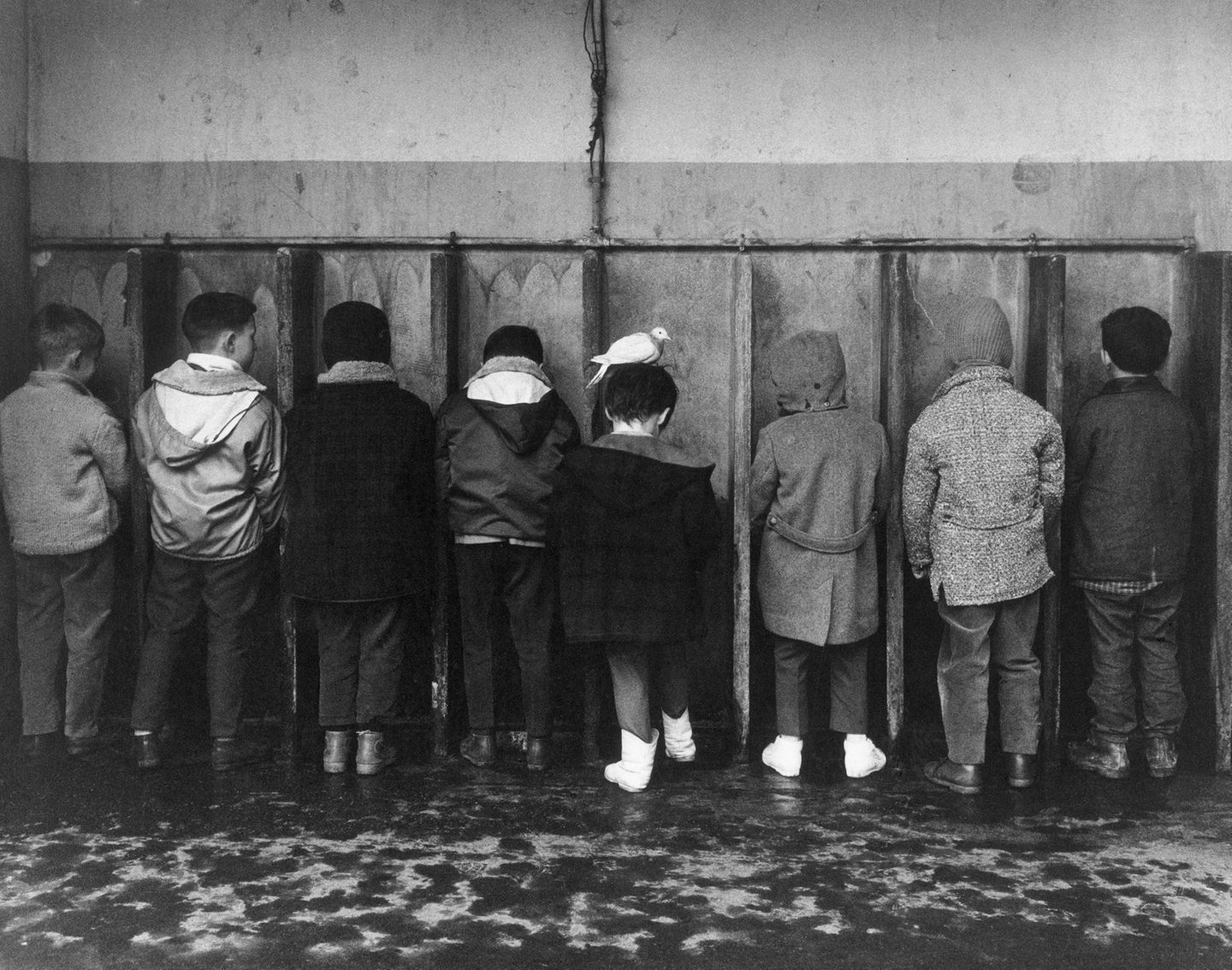 Kleine Jungen stehen an einer abgeteilten Wand, um zu pinkeln Kleine Jungen stehen an einer abgeteilten Wand, um zu pinkeln