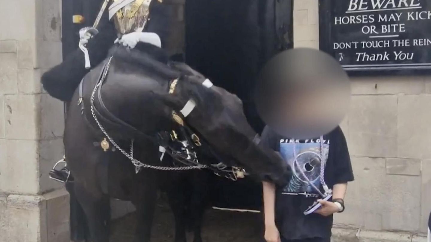 London: Keine Lust auf Fotos: Kings-Guard-Pferd beißt Touristin in den Arm