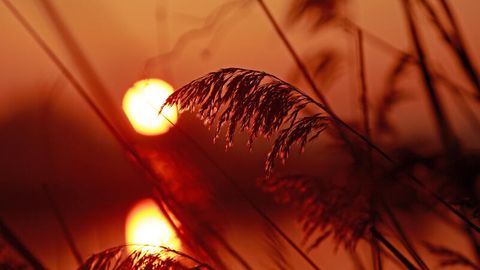 Klimawandel: Ein Sonnenuntergang