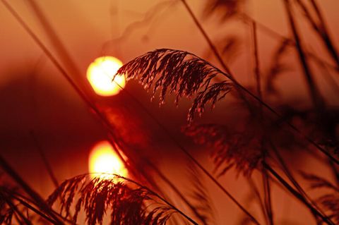 Klimawandel: Ein Sonnenuntergang
