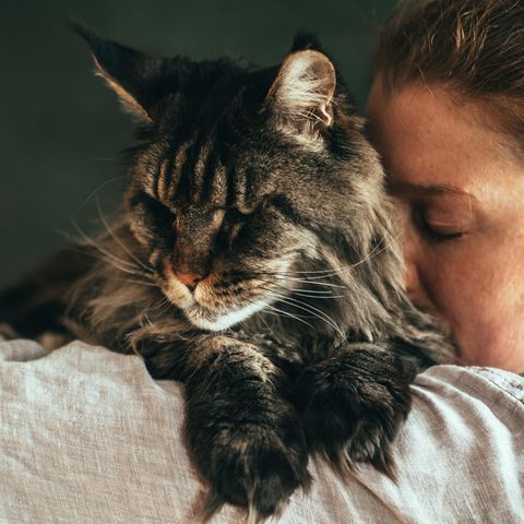 Uma mulher abraça um gato