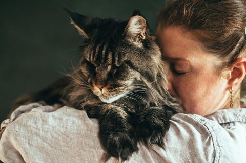 Eine Frau umarmt eine Katze